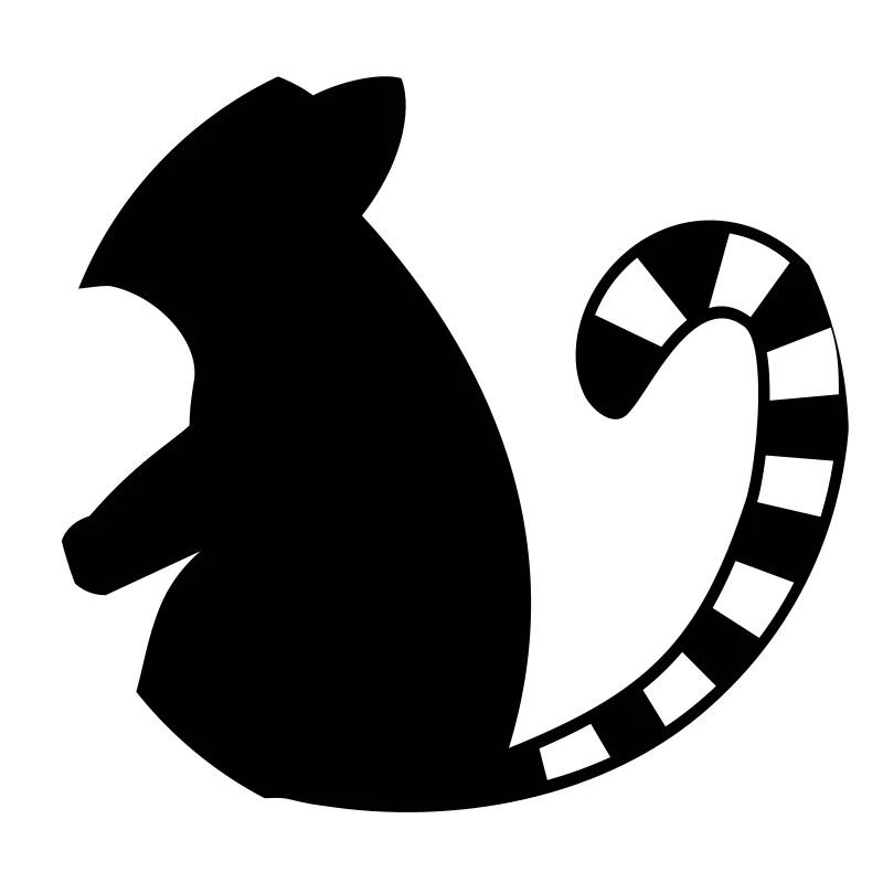 Monkey - Katta Lemure