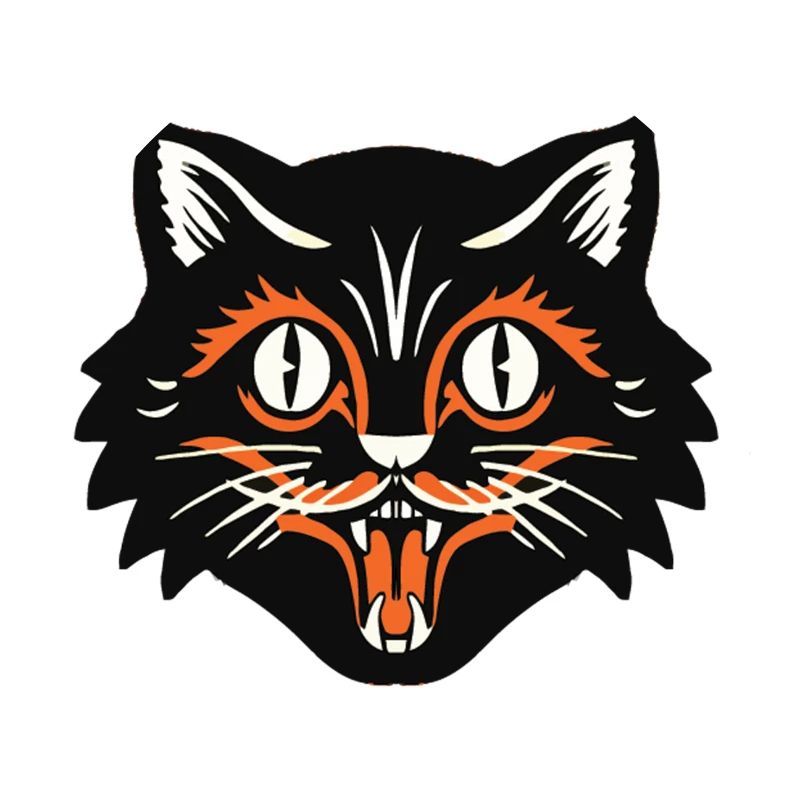 Black Cat