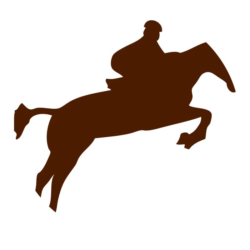 saut obstacle cheval monte 1