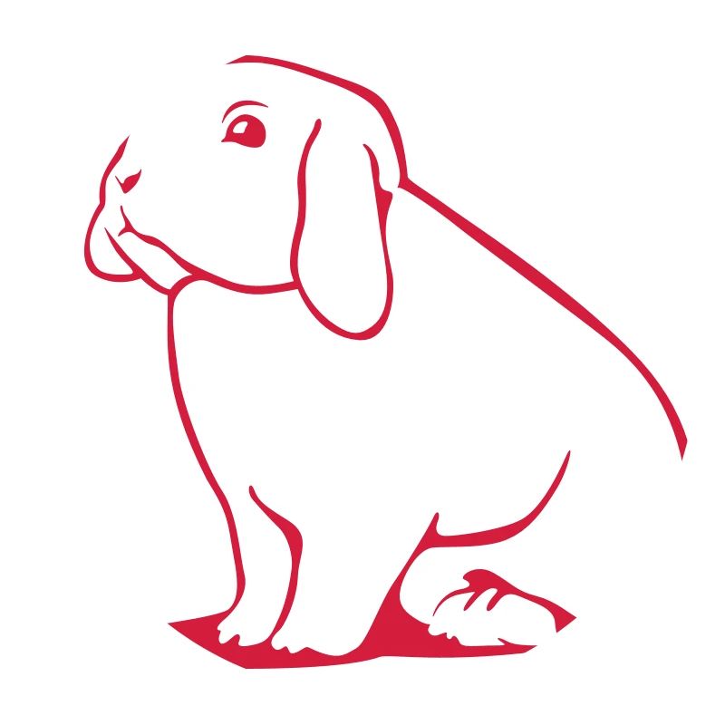 Dwarf Ram - Rabbit - Aries