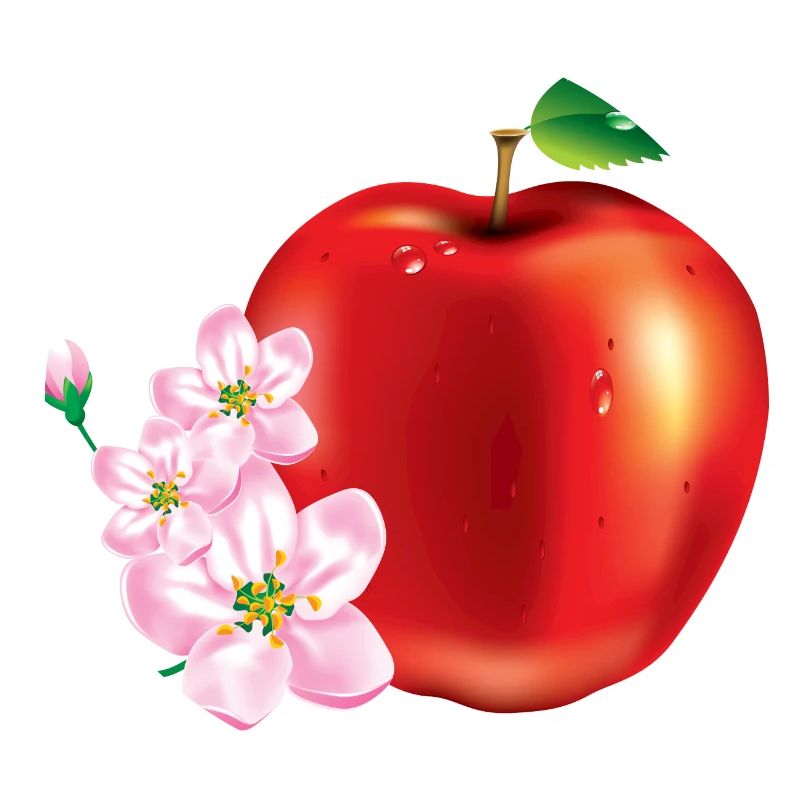Apple avec la conception de la fleur de cerisier