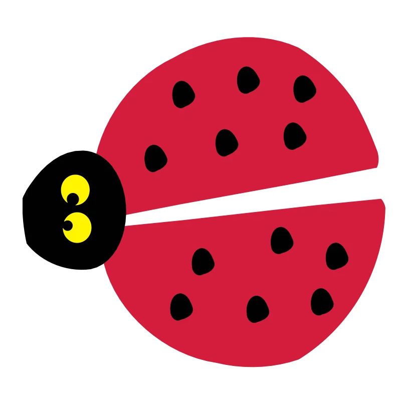 ladybug insects