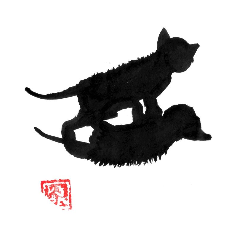 cat shadow