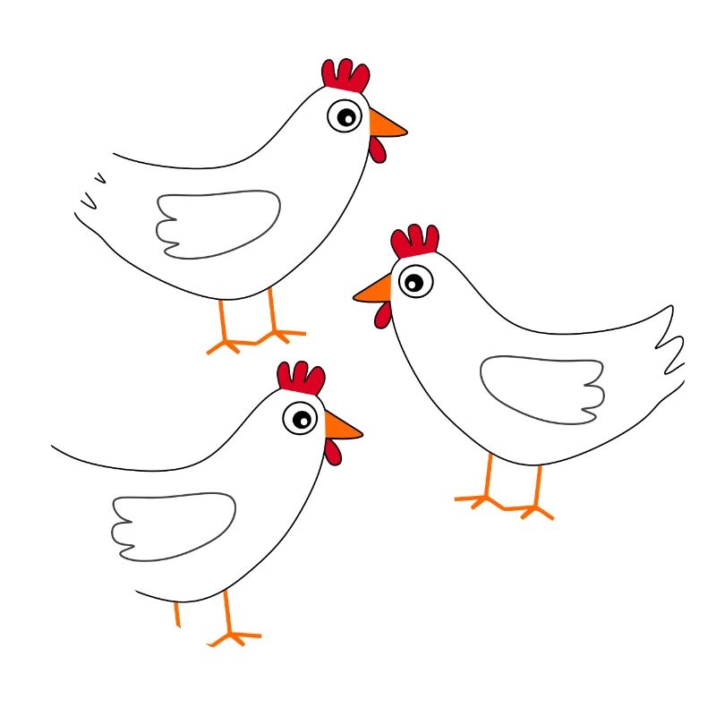 Chicken White White Chickens Hens Easter