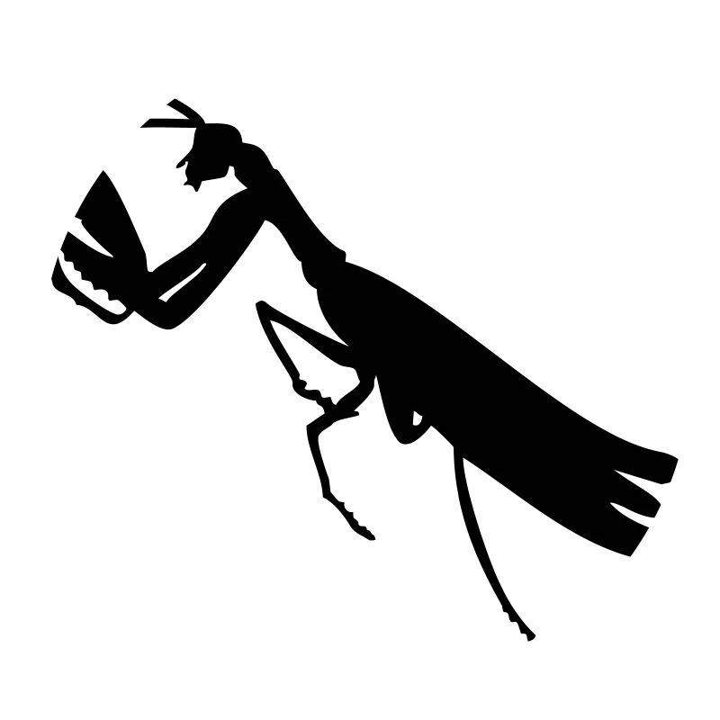 Gottesanbeterin / mantis (1c)