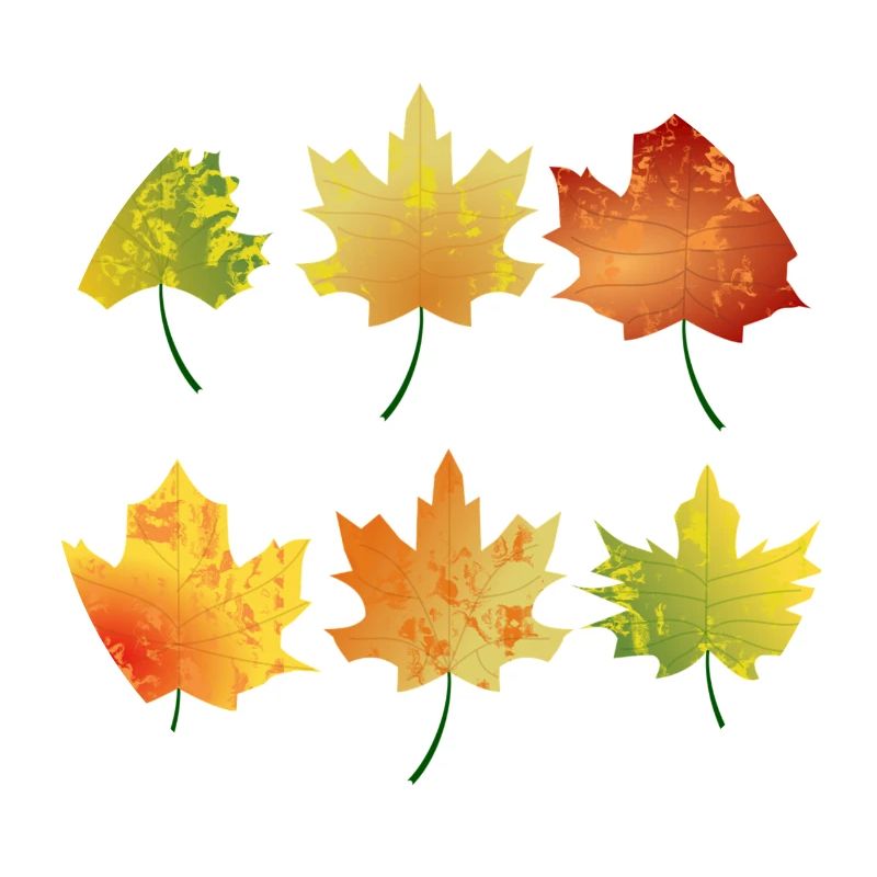 feuilles d'automne