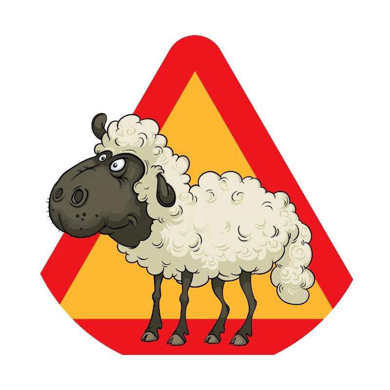 sheep