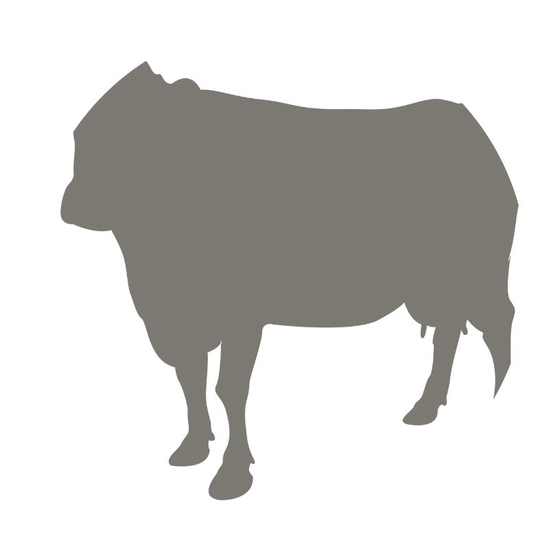 cow