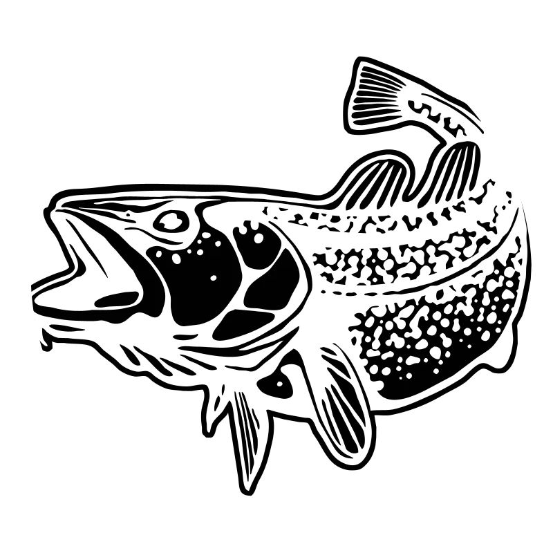 morue