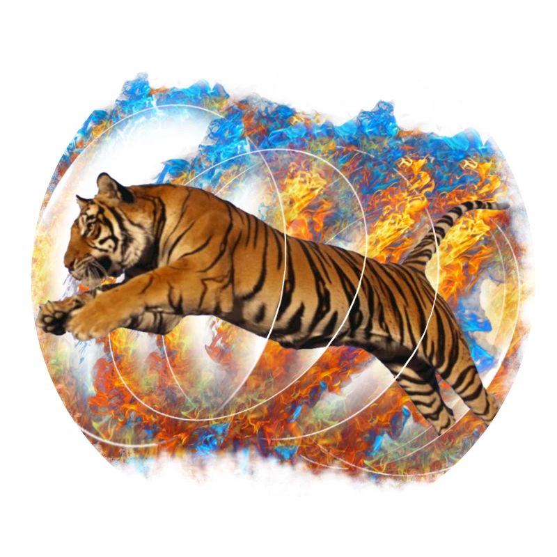 Tigr