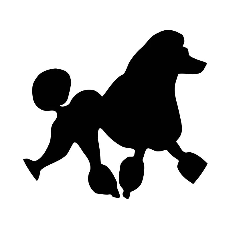 Poodle