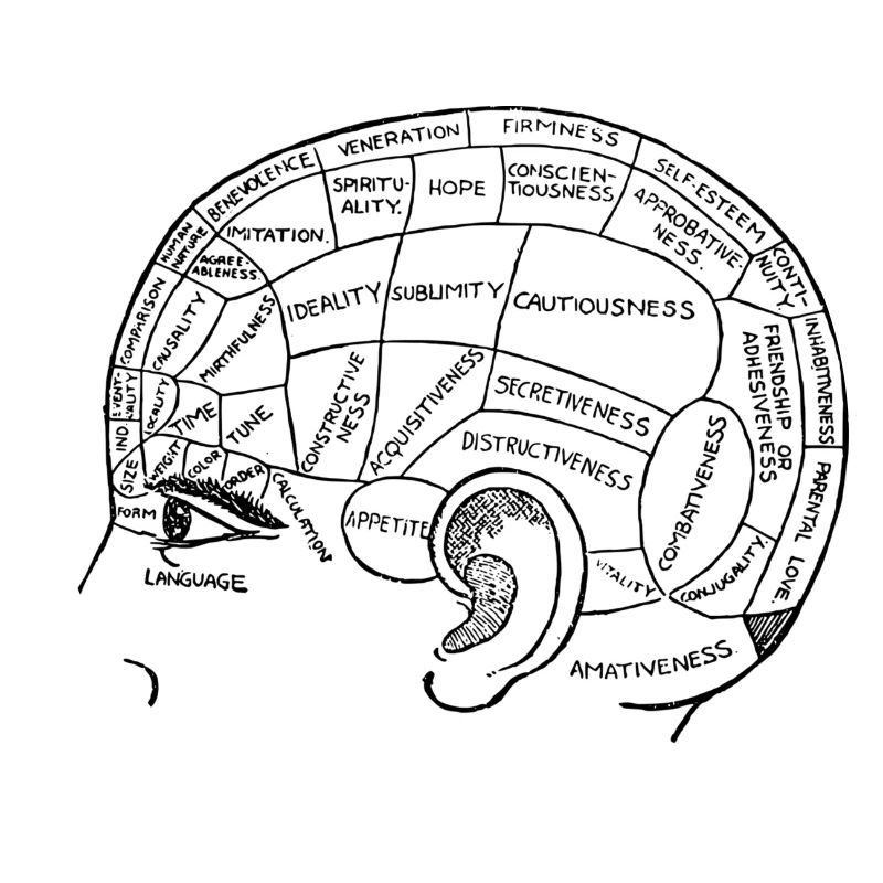 Head with thought, brain