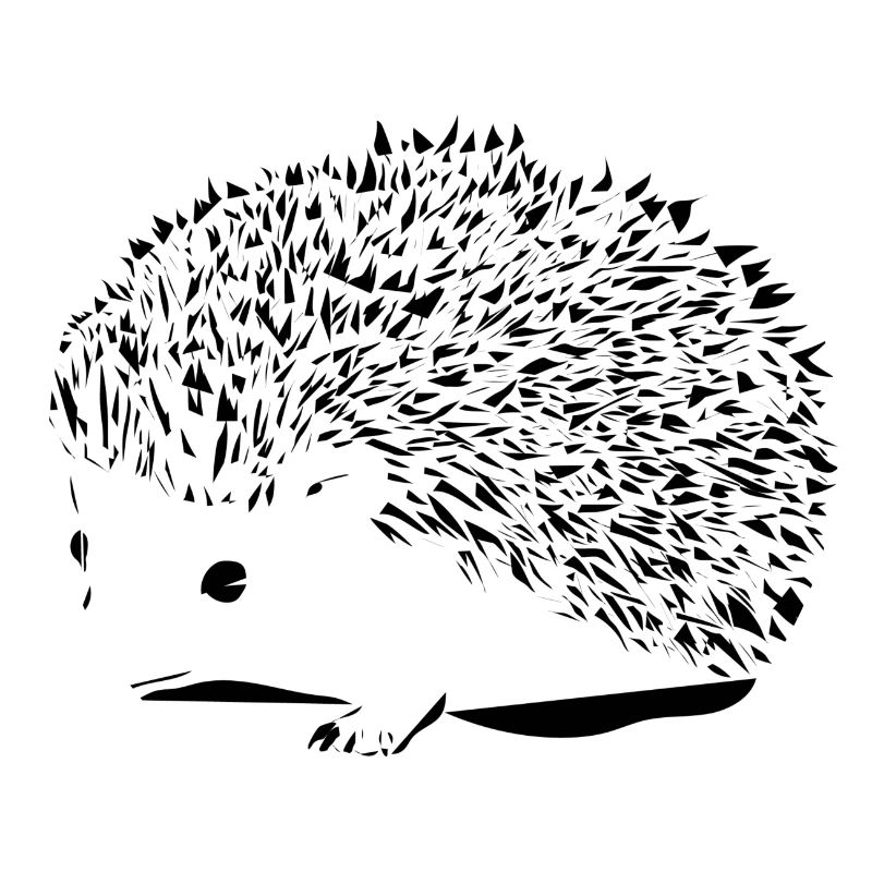 Hérisson noir