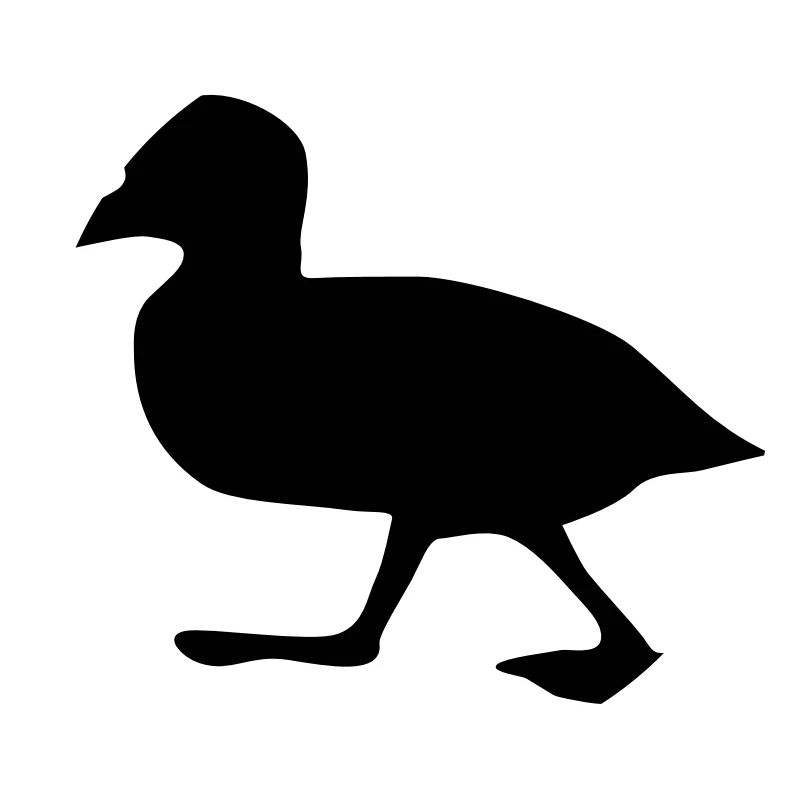 Duck, chick 3 (super cheap!)