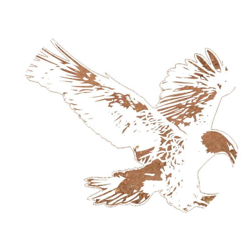 An eagle