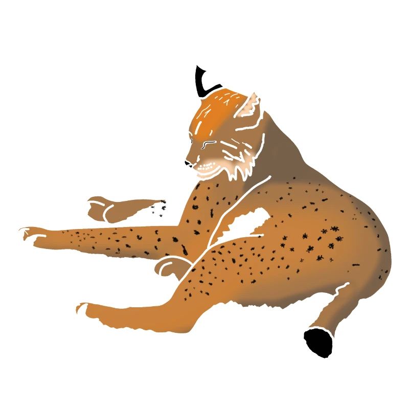 Luchs