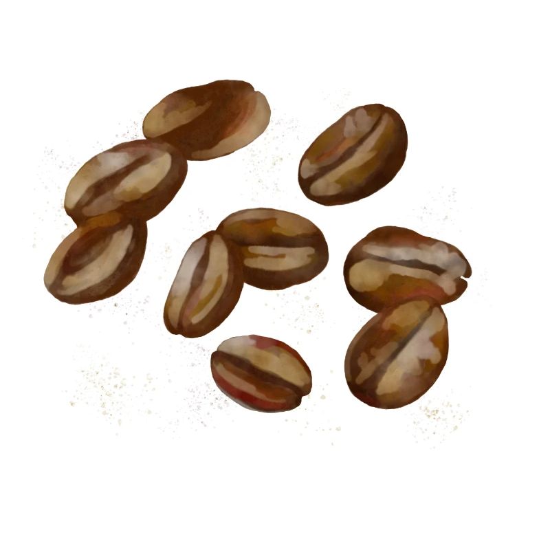 Grains de café