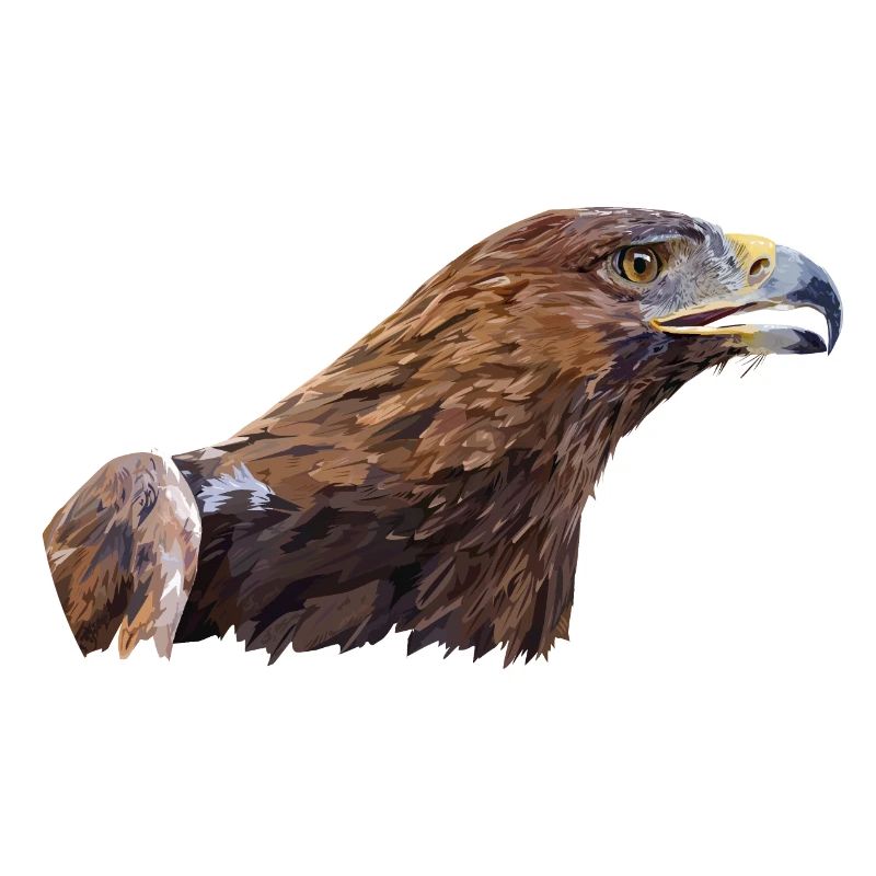Golden Eagle