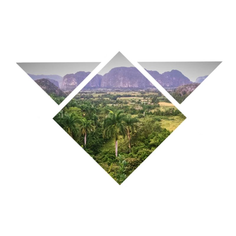 Triangular Steppe