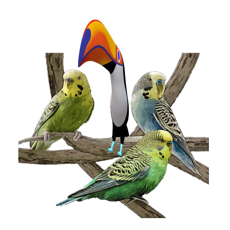 Budgerigars