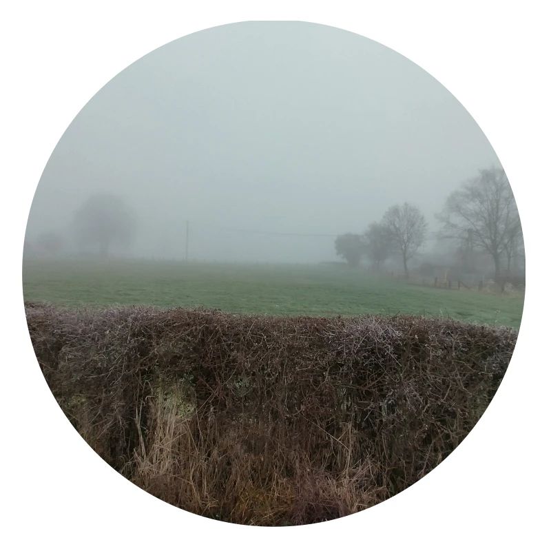 Brouillard