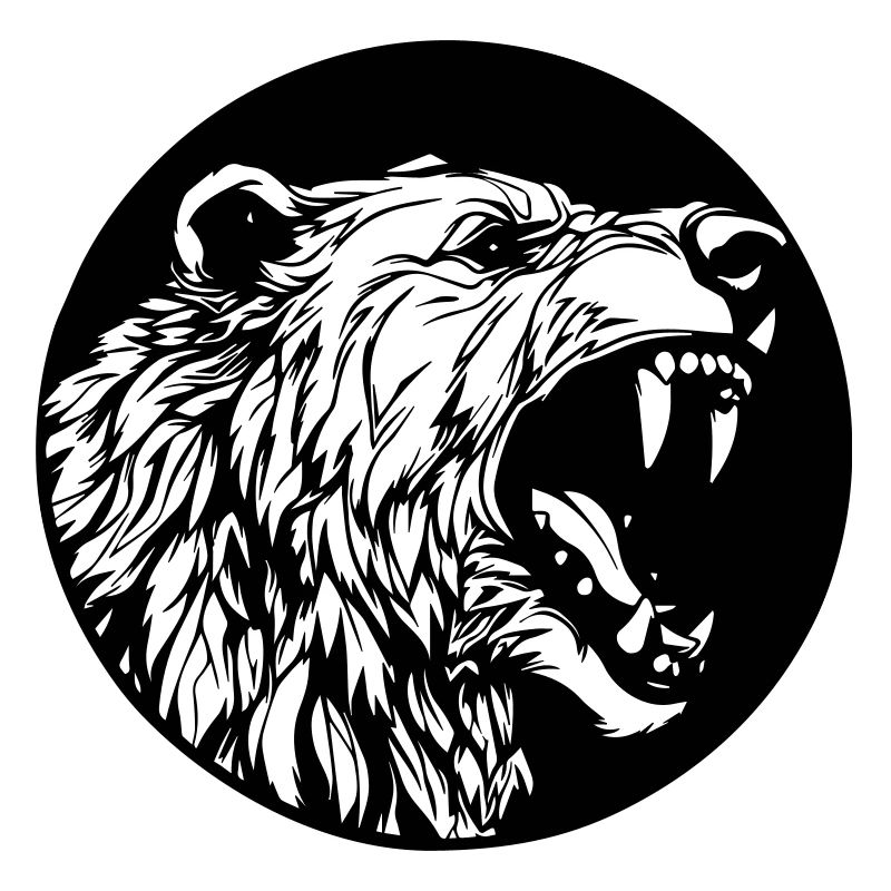 Grizzly Bear