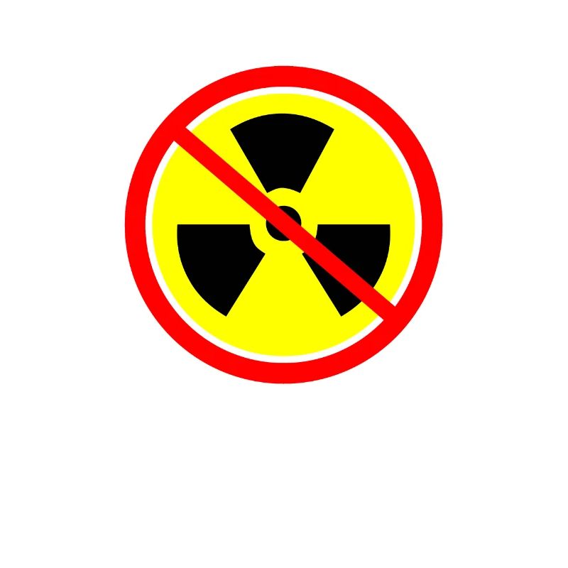Anti Atomkraft Castor Atomkraftwerke Gorleben Demo