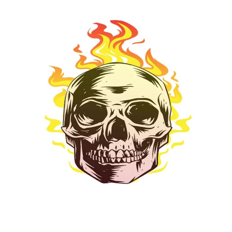 Burn skull design fun gift