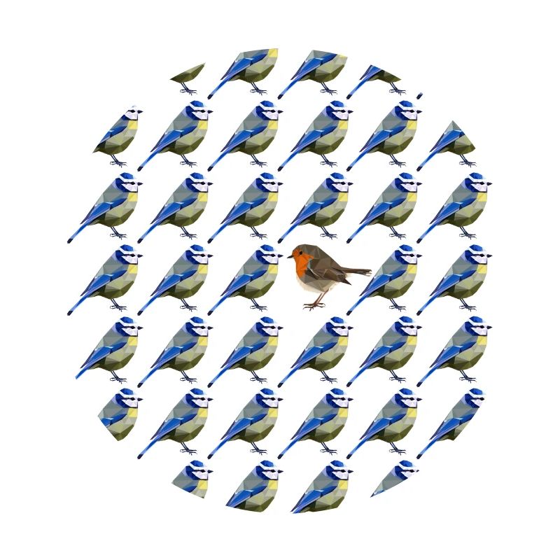 sei anders Blaumeise Rotkehlchen Vogel Muster