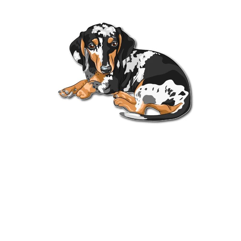 Tigerdackel