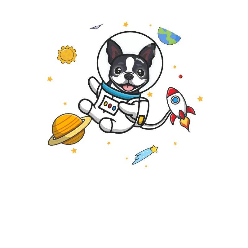 Boston Terrier