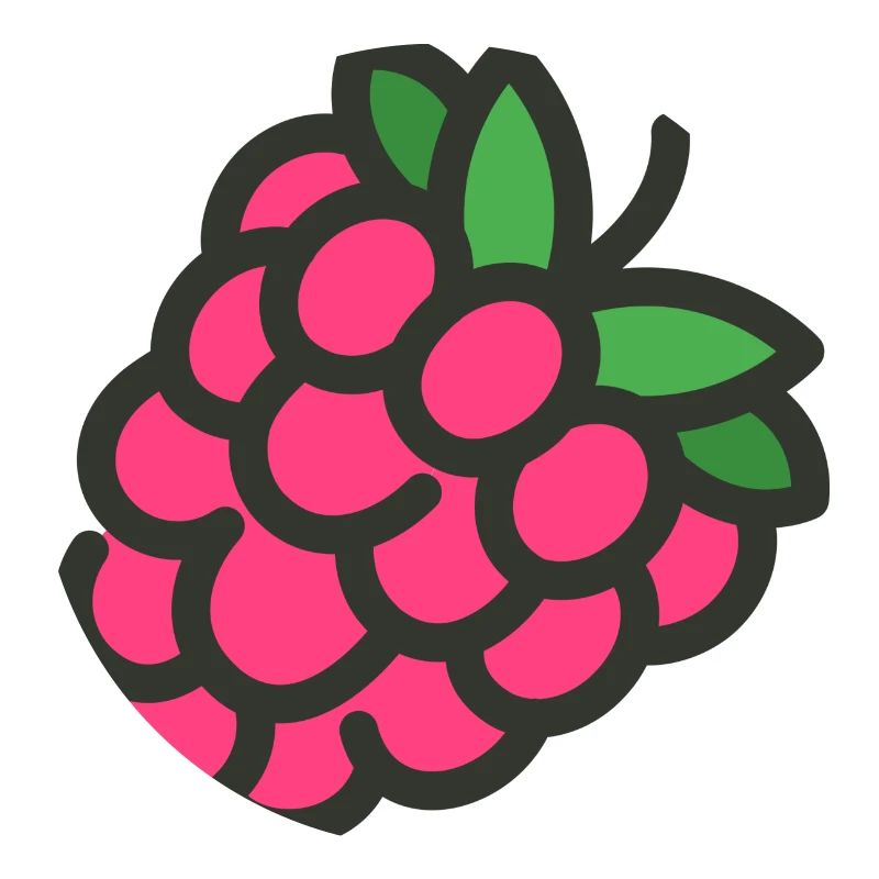 raspberry rasperry fruit veggie vegetables fruits14
