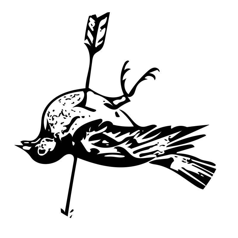 Oiseau mort - flèche dans le coeur