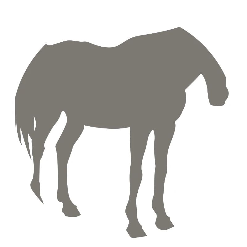 horse