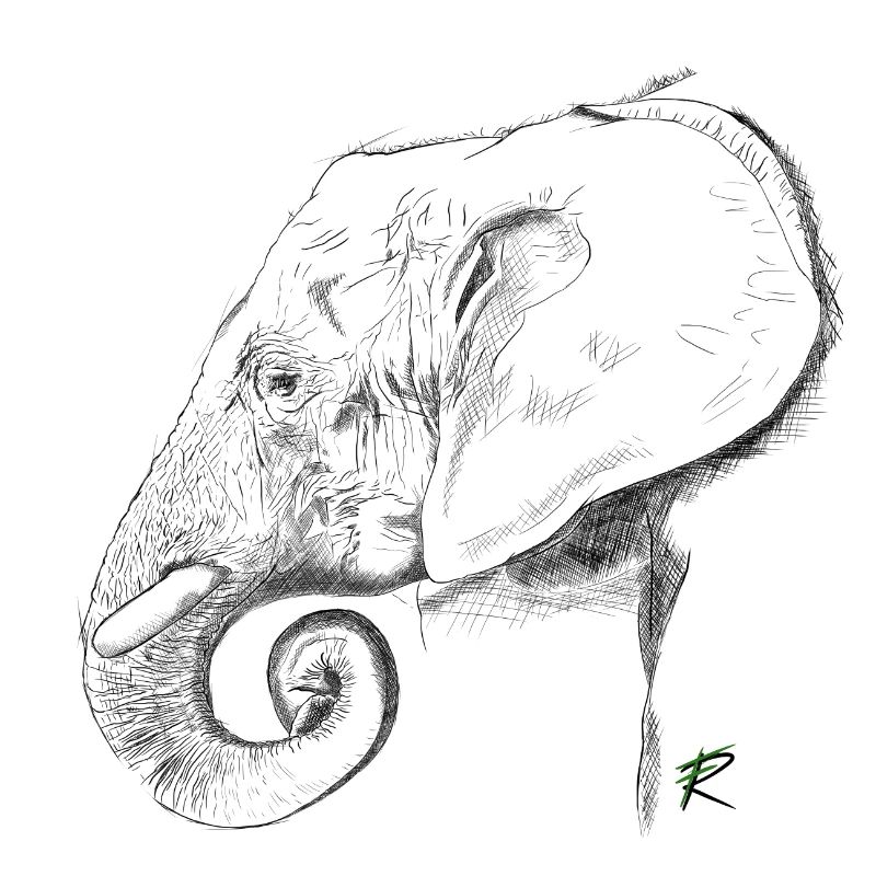 Elefant
