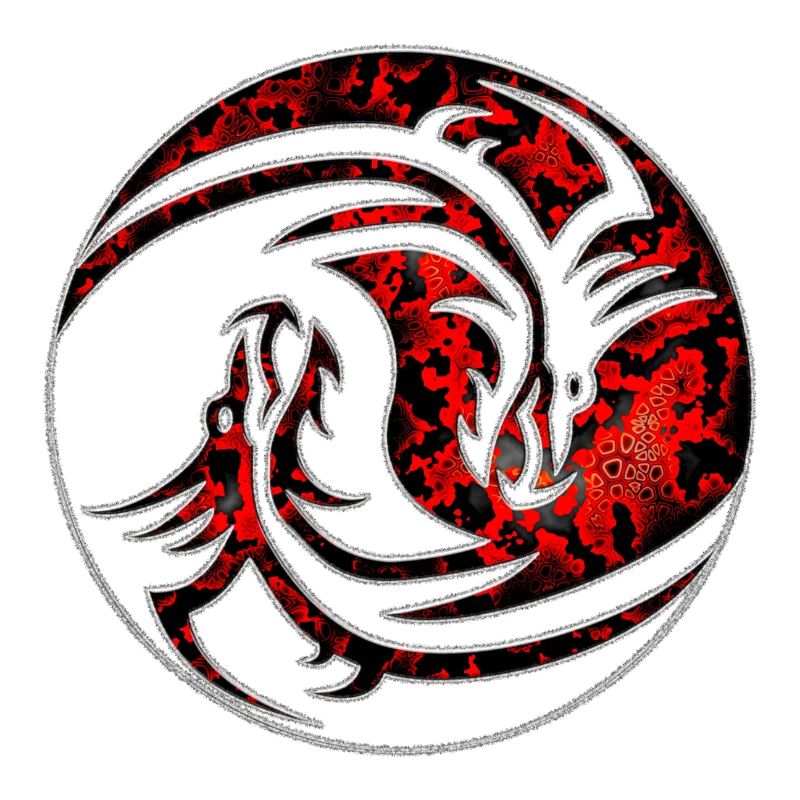 Dragon n ° 02 - Conception C