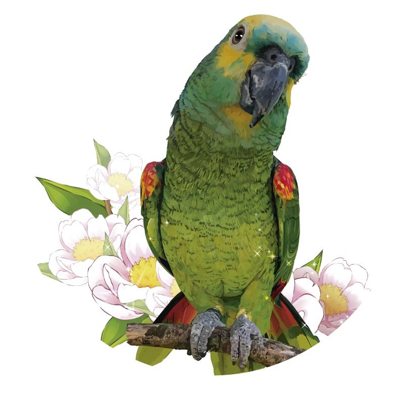 The blue-fronted amazon