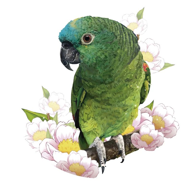 The blue-fronted amazon