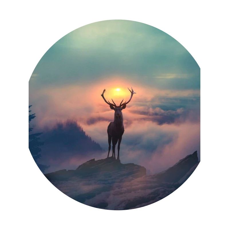 Sun deer