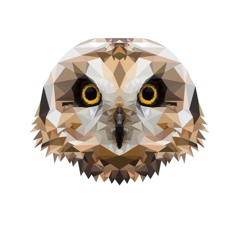 Polygon Sumpfohreule, Eule, Polygon, Tier, Vogel