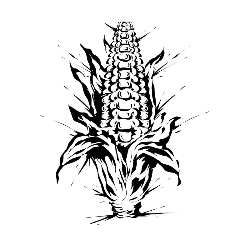 Corn corn on the cob