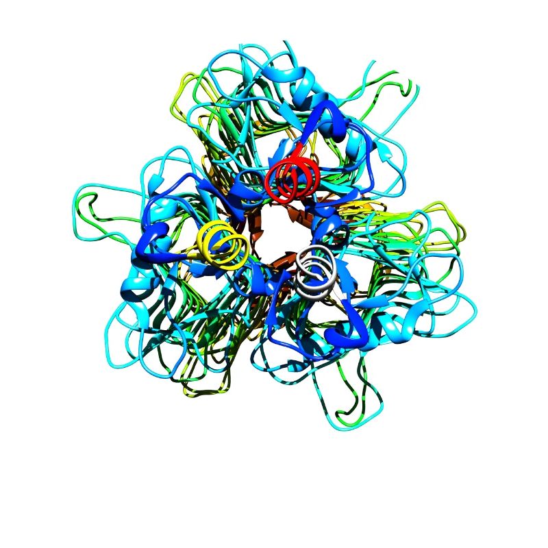 Native Tailspike Protein Molecule Bacteriophage