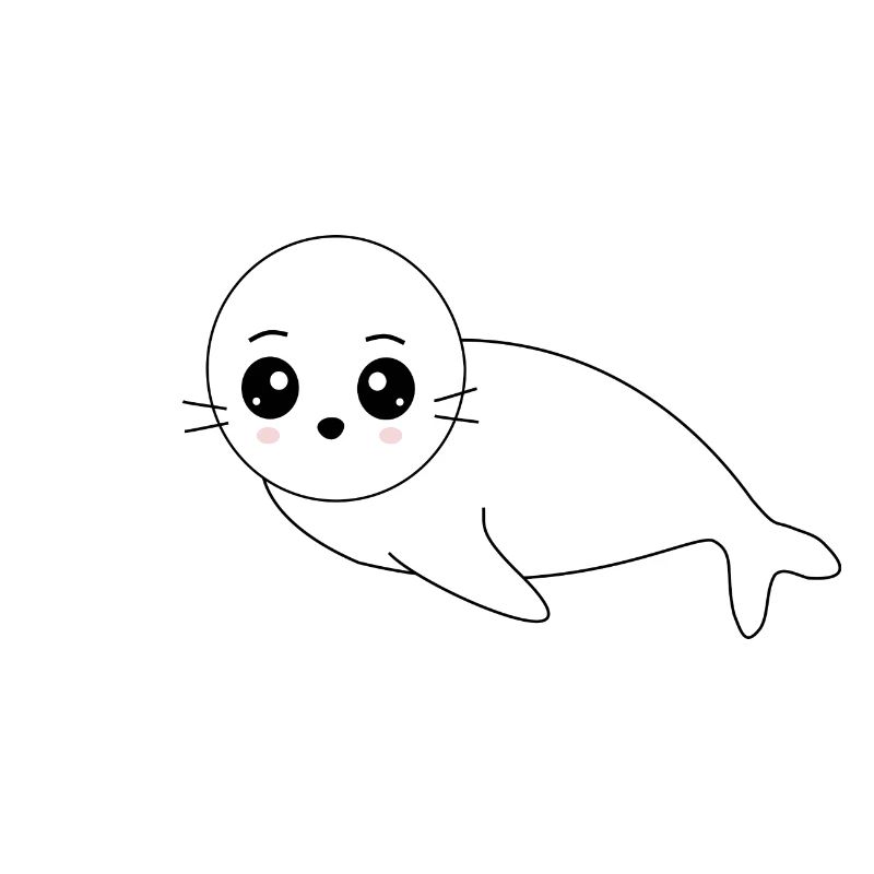 phoque phoque blanc phoques phoques animaux