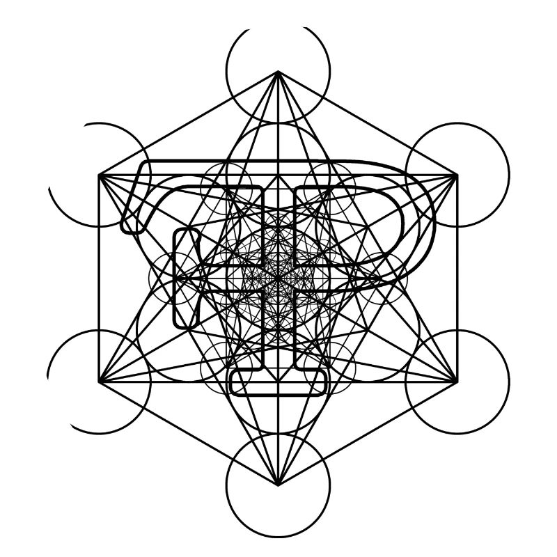 FramePace Cube de Métatron Noir