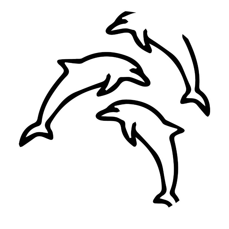 Dolphin dolphins