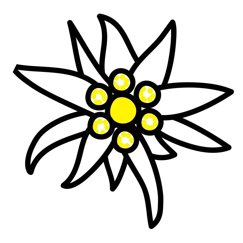 Edelweiss