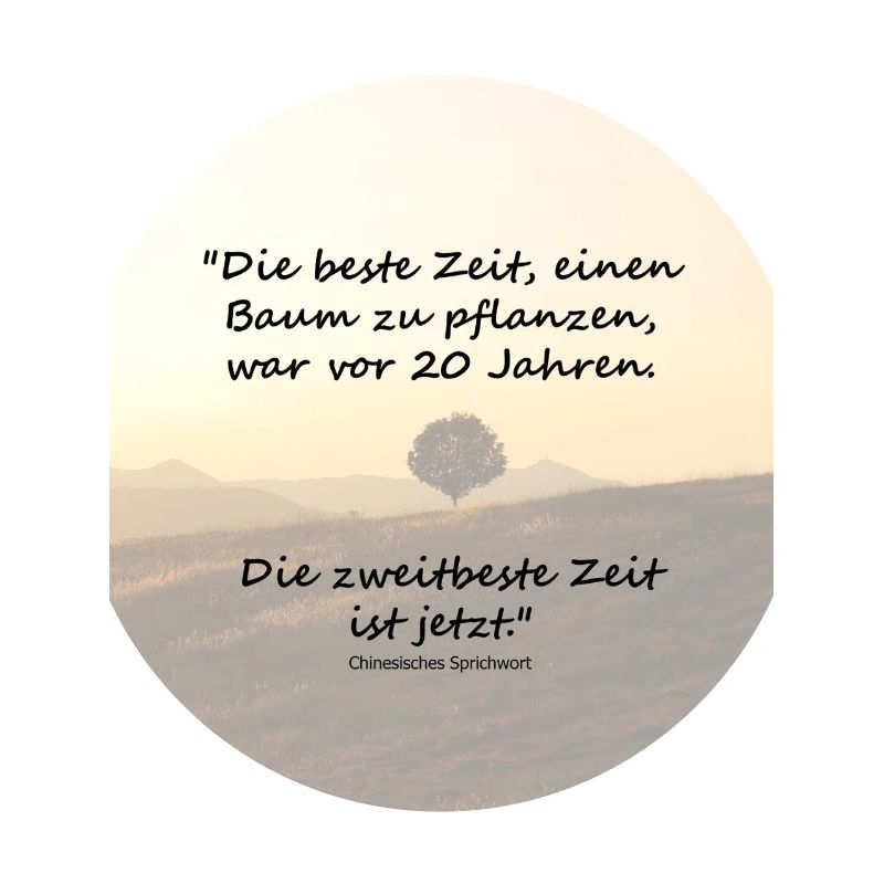Der beste Zeitpunkt