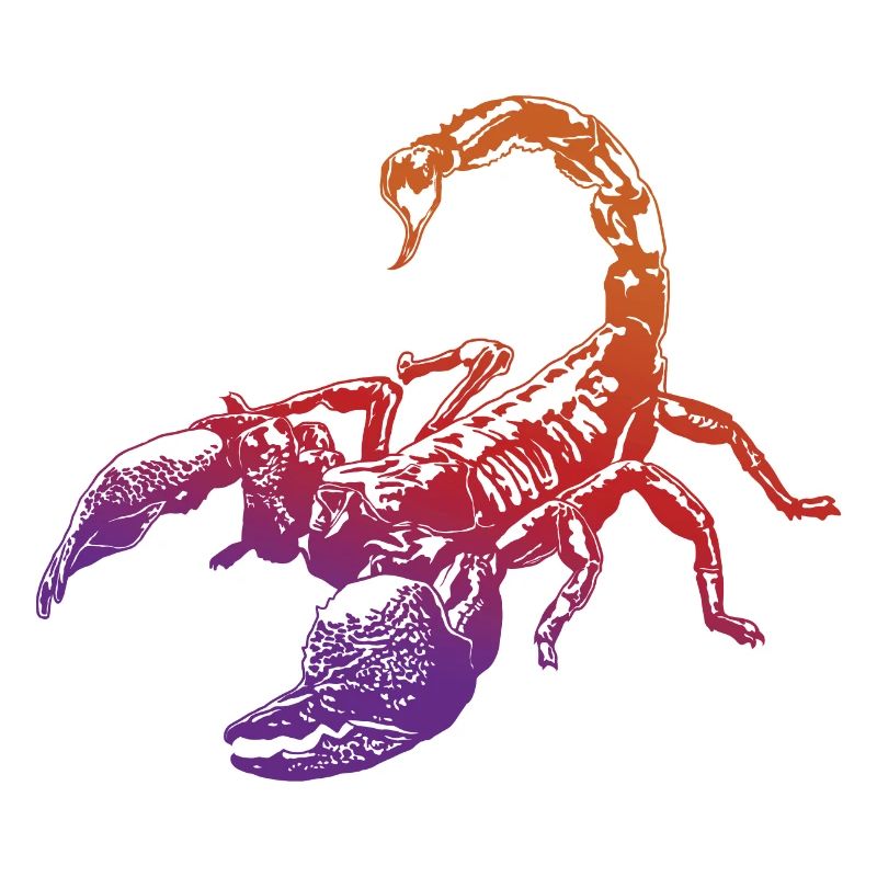 Cool Scorpion Insect Sketch Graphic Scorpion Lover