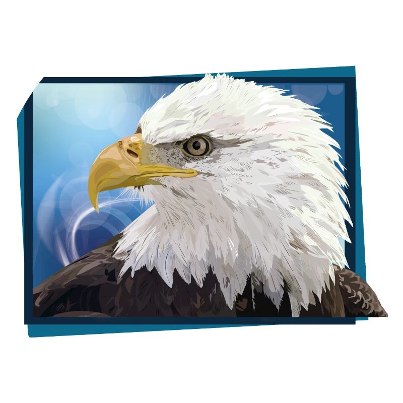 Bald eagle