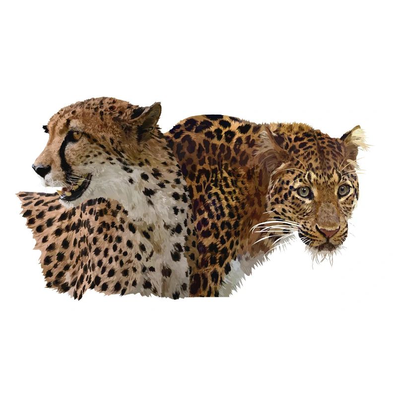 Léopard et guépard